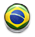 Português - Brasil